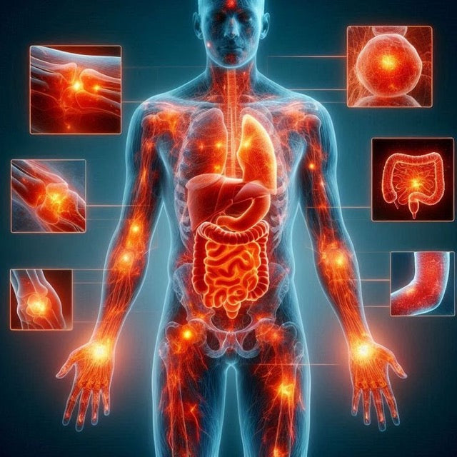 Pain & Inflamation
