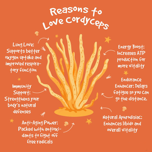 Illustration of cordyceps with text on reasons to love it on an orange background