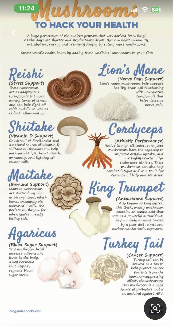 Organic Medicinal Mushrooms