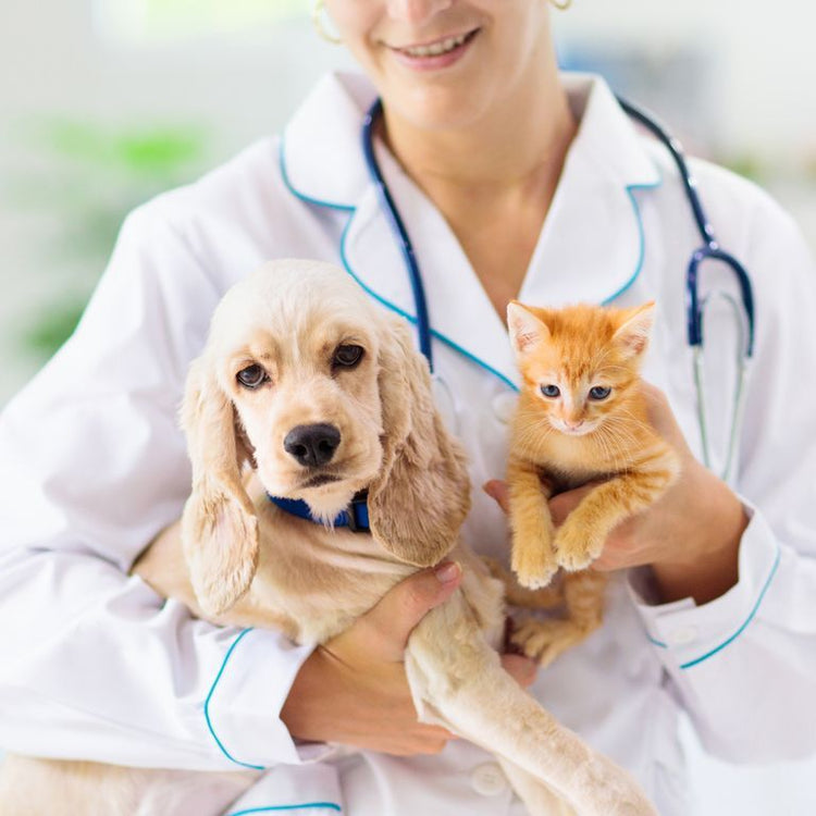 Pet Health