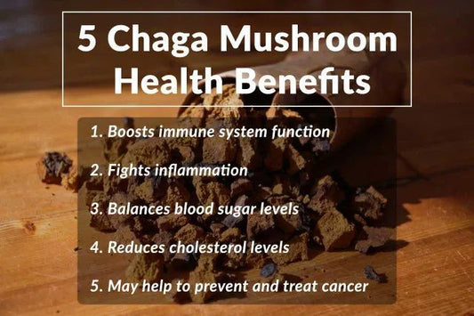 Chaga Tincture 30ml