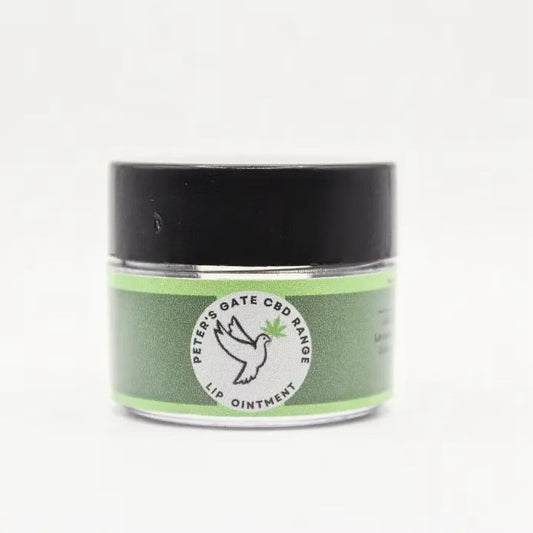 CBD Lip Treatment Ointment (10g)