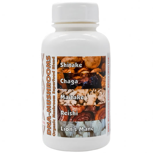 organic medicinal mushroom stack Shiitake, Chaga, Maitake, reishi, Lion's main