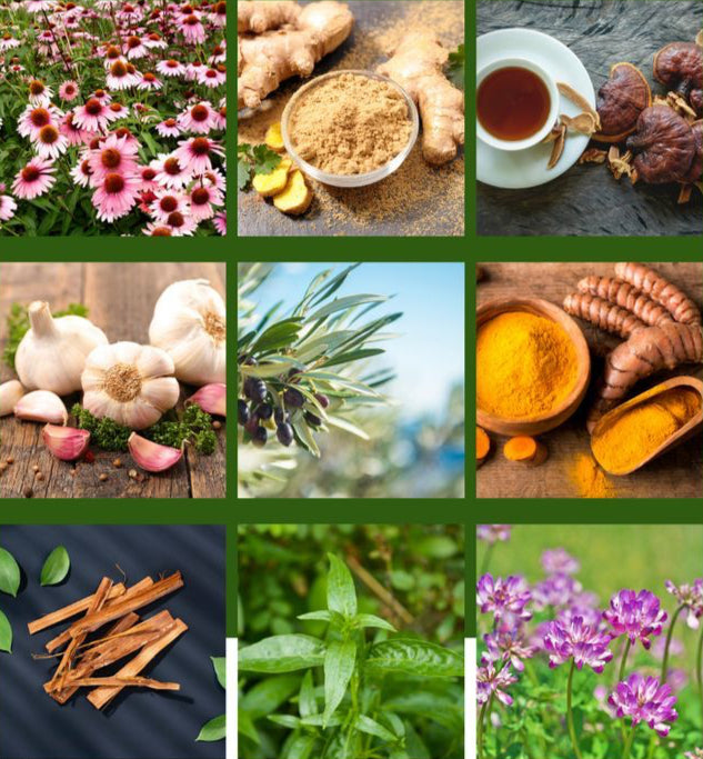 DNA ULTIMATE Caps 120's