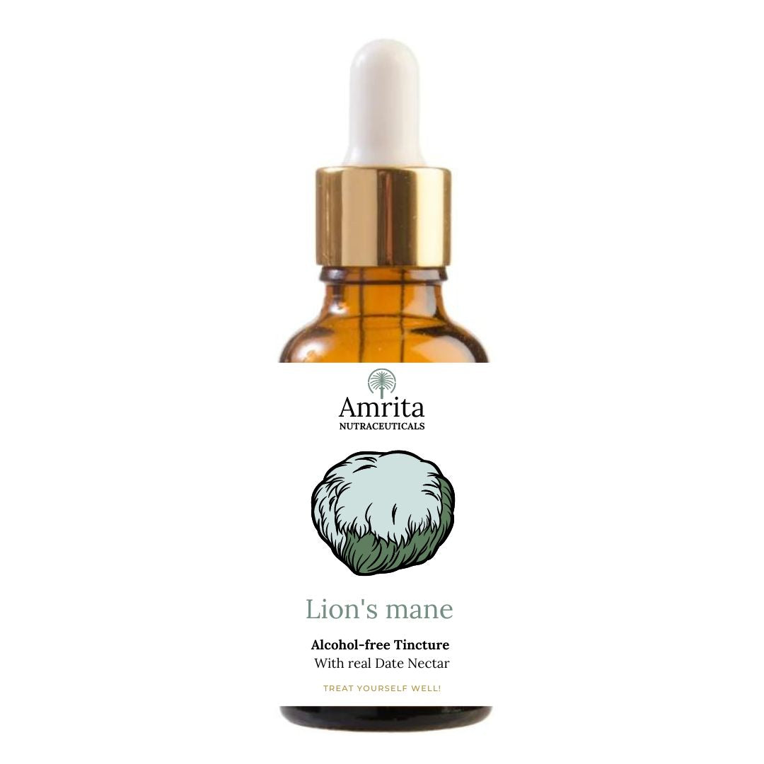 Lion's mane Extract - Alcohol-free Tincture 30ml