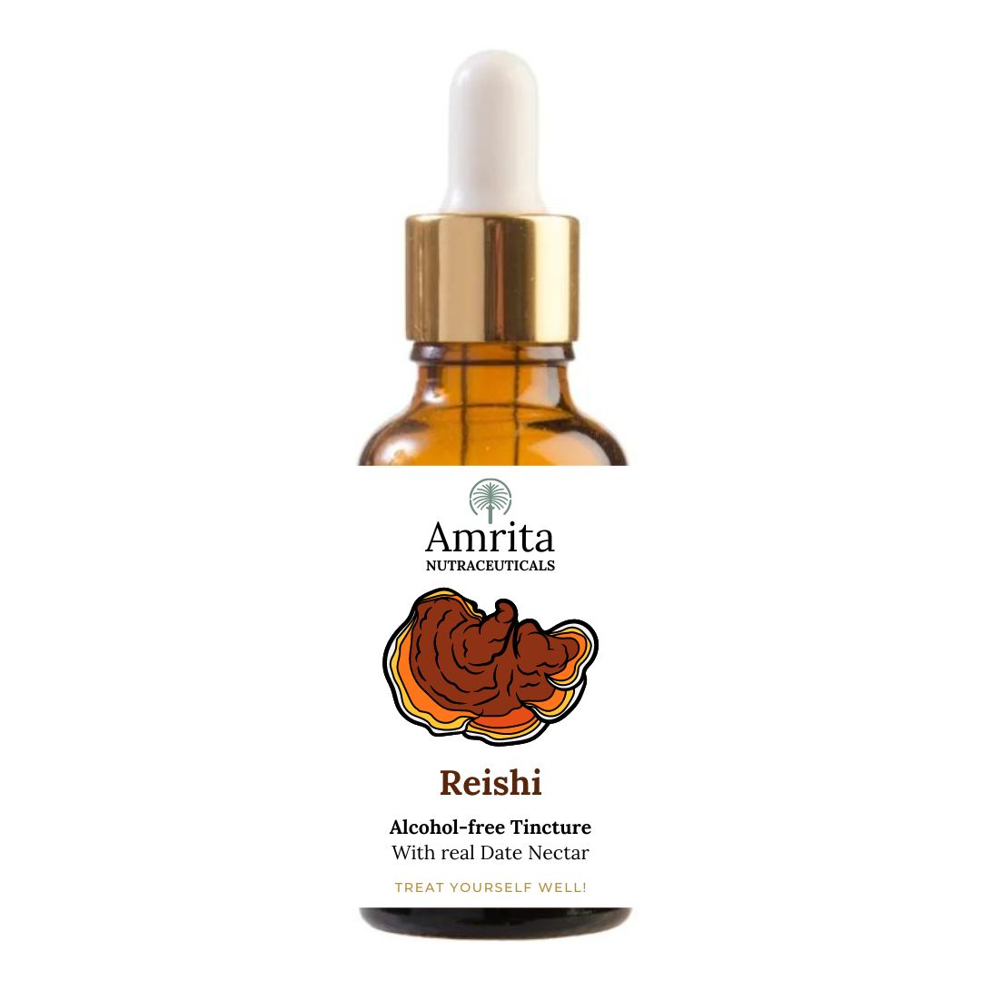Reishi Extract - Alcohol-free Tincture 30ml