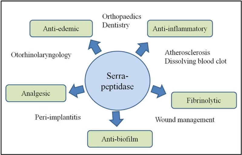SERRAFAST  CAPSULES 60's