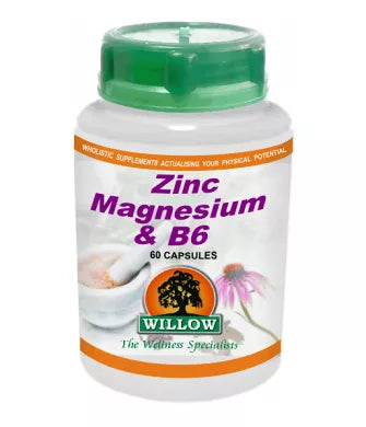 ZINC/MAGNESIUM/B6 (60)